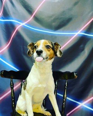 Selfie Sweetheart #ketteringohio #springboroohio #miamisburgohio #westcaroltonohio #washingtontwp #selfiemuseum #selfiestudio #rufflife
