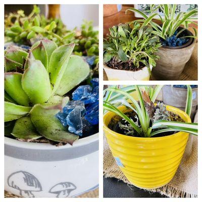 Hopeful Secondhand Thrift Shop