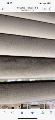 Old mold and dust on windows. I wish you could see the whole video.