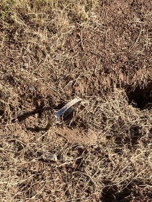 Service Experts Phoenix