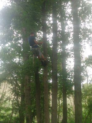 C&N Landscaping And Dirt Work