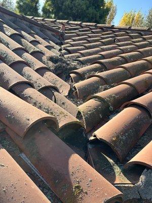 Roof after poor cleaning