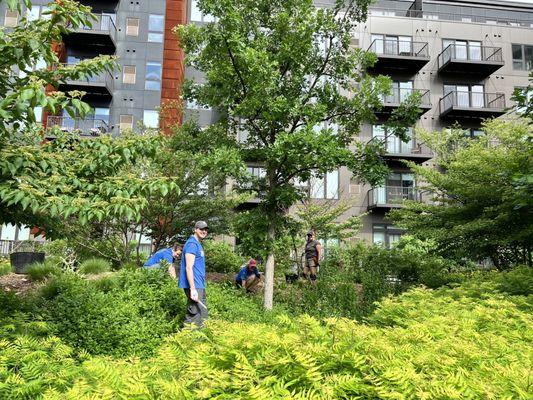 Thank goodness for Volunteers