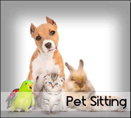 Stay & Play Pet Care