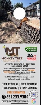 Monkey Tree service