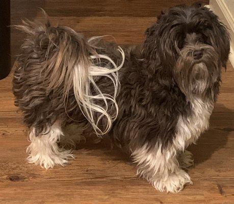 MorningStar Valley Farm