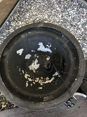 Wild Birds Unlimited