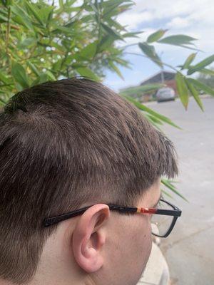 Behind this ear there's a line of long hairs. cut is completely chopped all across the top.