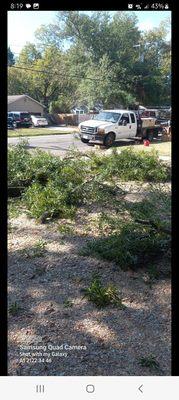 B - Well Tree Service