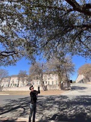 Four Seasons Tree Service