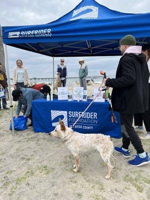 Surfrider Foundation