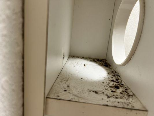 Mold where the towels were put