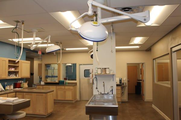 Treatment Area