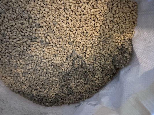 Long Horn Horse & Pet Supply