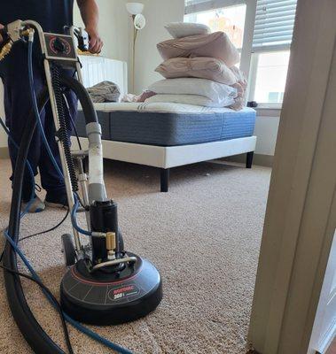 Premium Carpet Cleaning