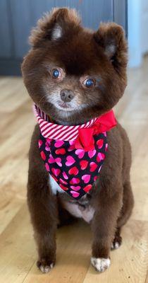 Embarkadero Social Club