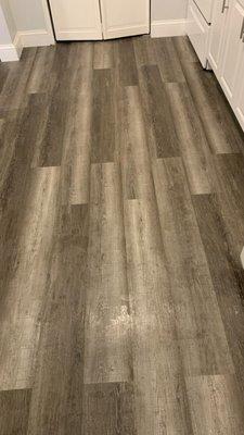 Precise Management and Residence Services LLC