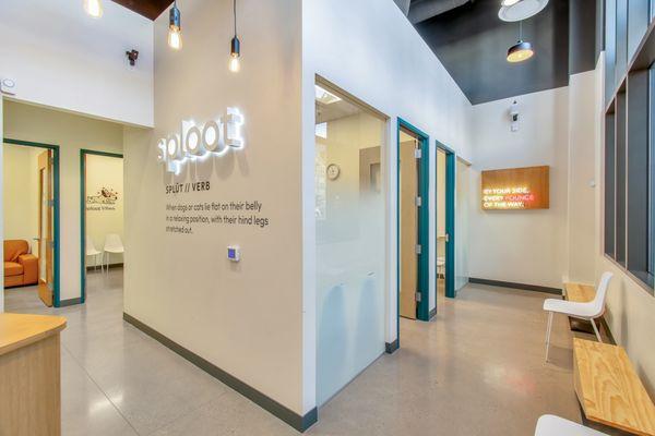 Sploot Veterinary Care - Greenwood Village