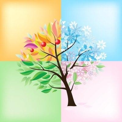 Seasons Concierge & Errand Services