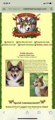 Noble Hearts Corgis