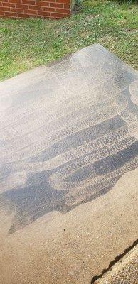 All Things New Again Pressure Washing