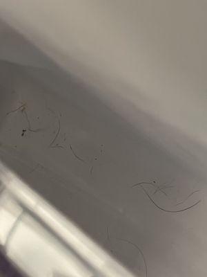 Sandpiper Village Apartment Homes