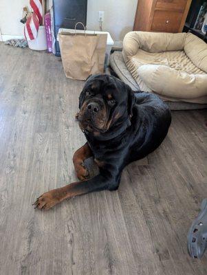 Upper Valley Animal Clinic