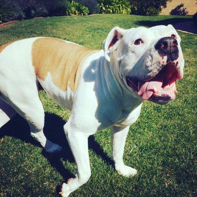 Olive Oil says thank you!