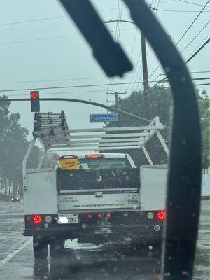 Roadrunner Exterminating