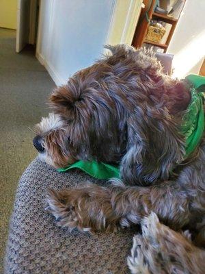 Blue Ash Chiroprctc Clinic