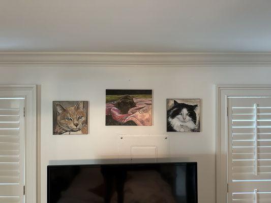 Veterinary Way Animal Hospital