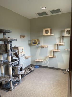 Winchester Veterinary Clinic