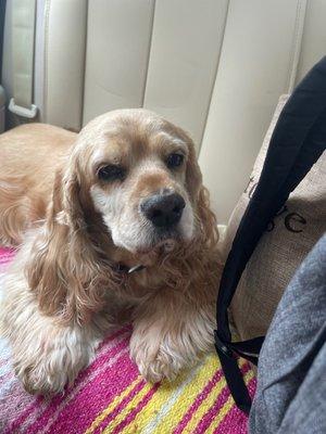 Winslow Animal Clinic