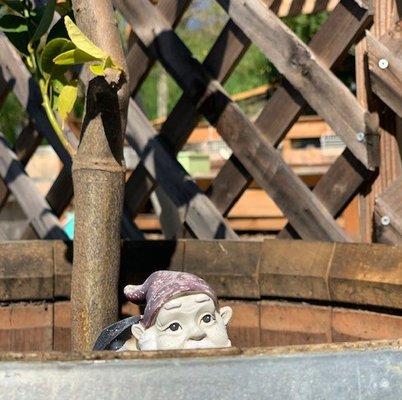 Ice Cream & Shoe Preschool