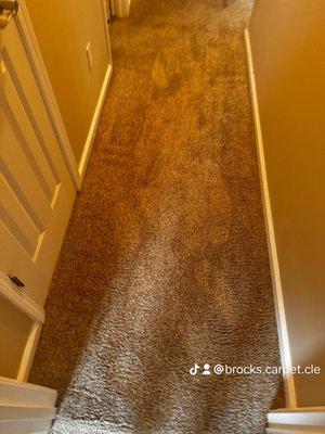 Brock’s Carpet & Upholstery Cleaning