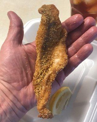 Piece 3 of a 3 piece catfish dinner.
