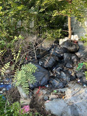 Bivins Hauling & Disposal