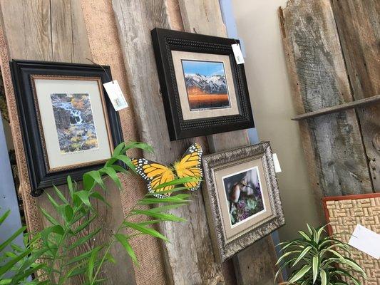 Back Yard Floral & Wine