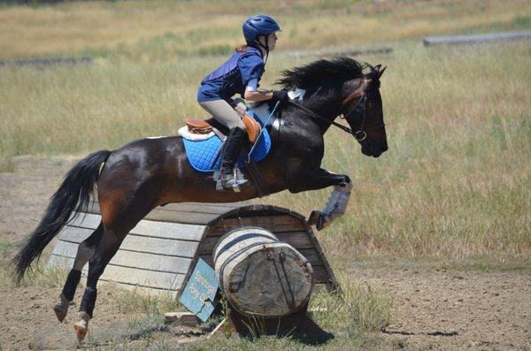 Oak Creek Training Stables