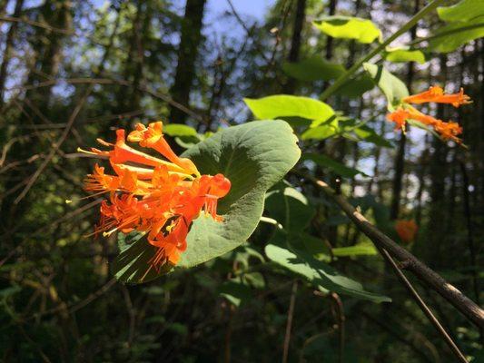 Grass Lake Nature Park