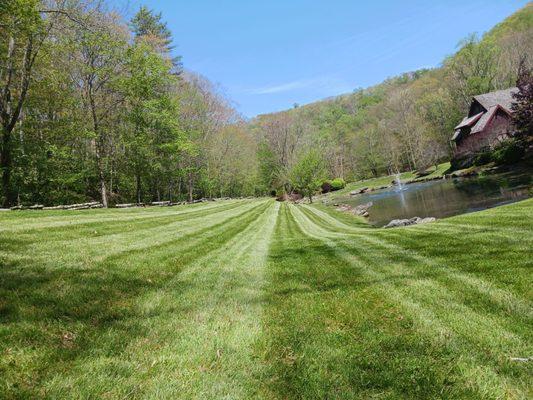 Precision Landscaping