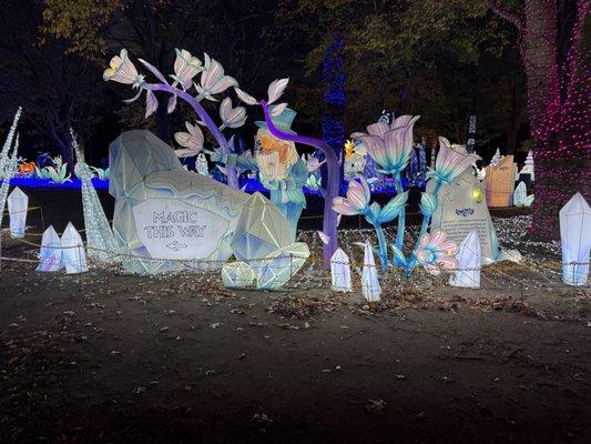 Amazing displays of light and color.