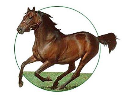 Livestock Mutual Insurance