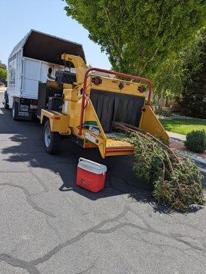 Roger's Tree Service