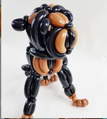 Balloon Animals Palm Beach