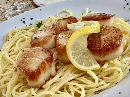 Scallops over linguine.