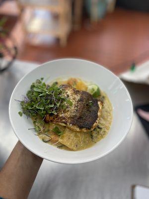 Veg coconut curry with blackened whitefish fillet
