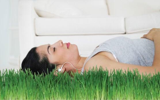 We specialize in Green Cleaning that is non toxic and hypoallergenic. Our patented solution is great to use around kids and pets