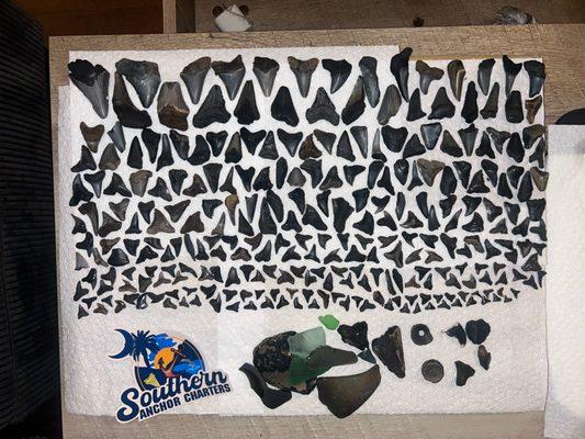 Southern Anchor Charters