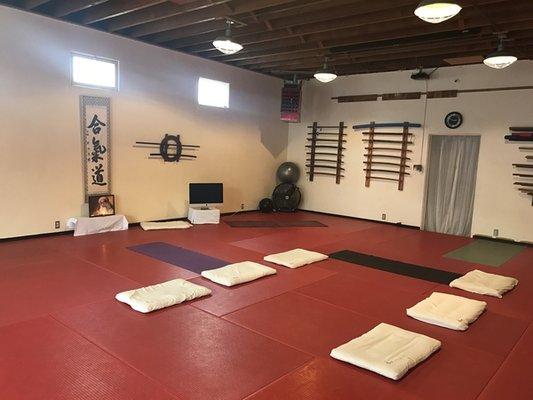 Earth and Ether Classical Yoga